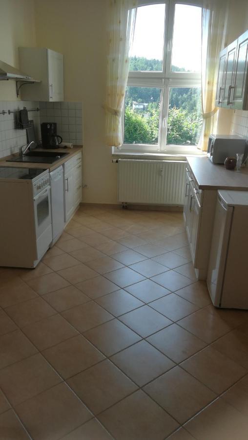 Ferienwohnung Sonnenblick Burkhardtsdorf Eksteriør billede
